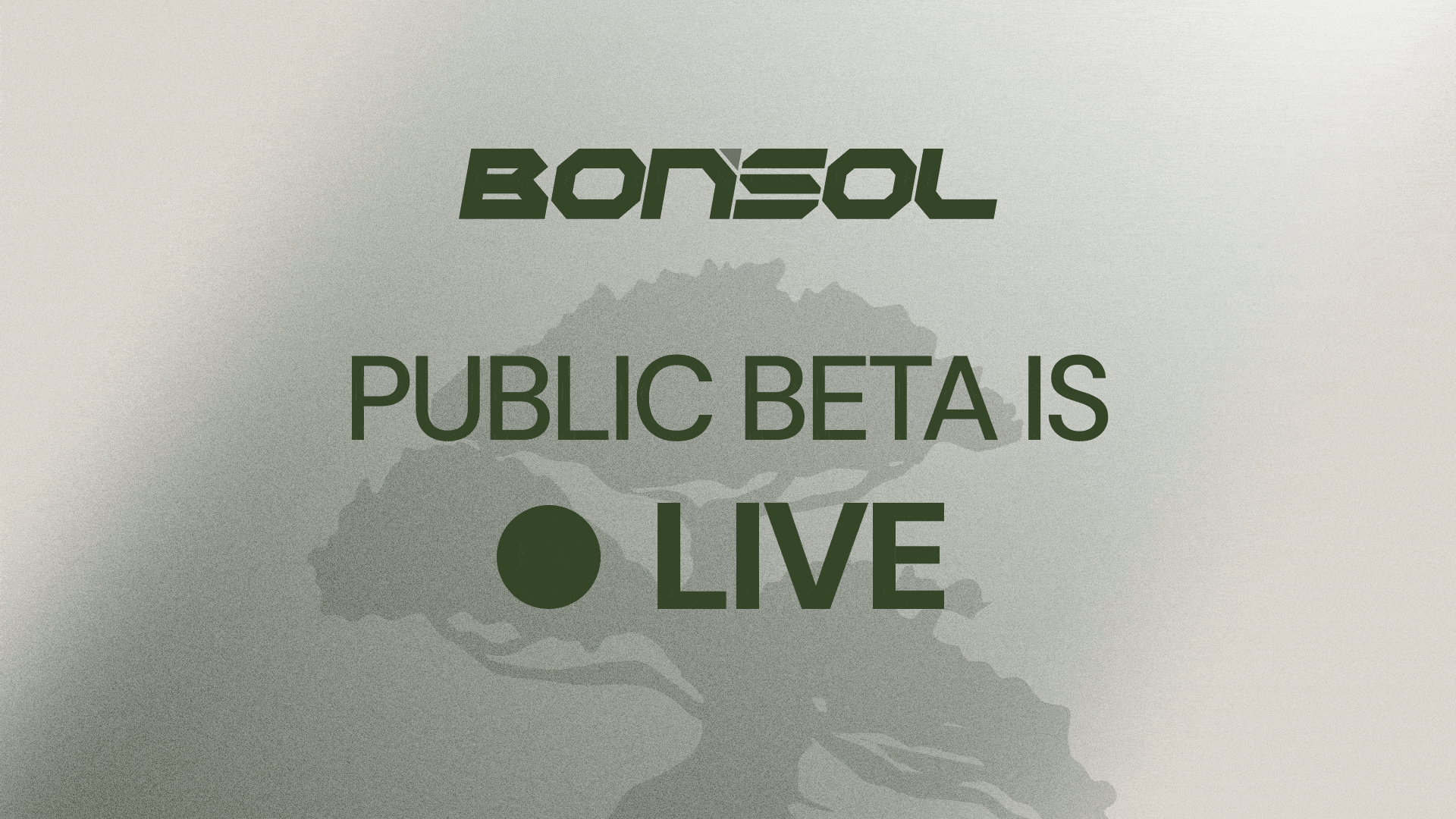 Bonsol Blog Post Header