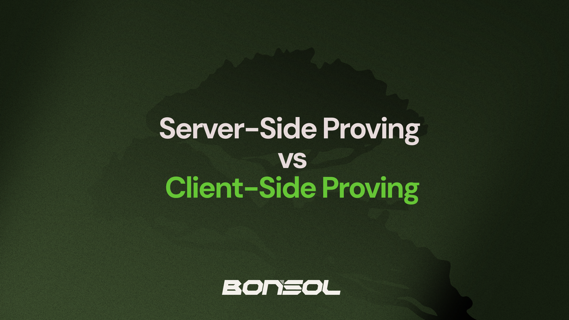 Bonsol-Image-Client-Side